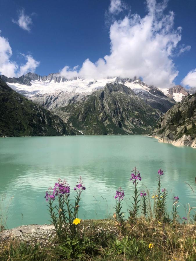 Alpine Haus Apartman Göschenen Kültér fotó