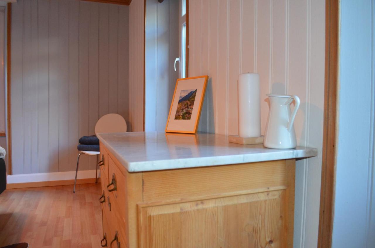 Alpine Haus Apartman Göschenen Kültér fotó