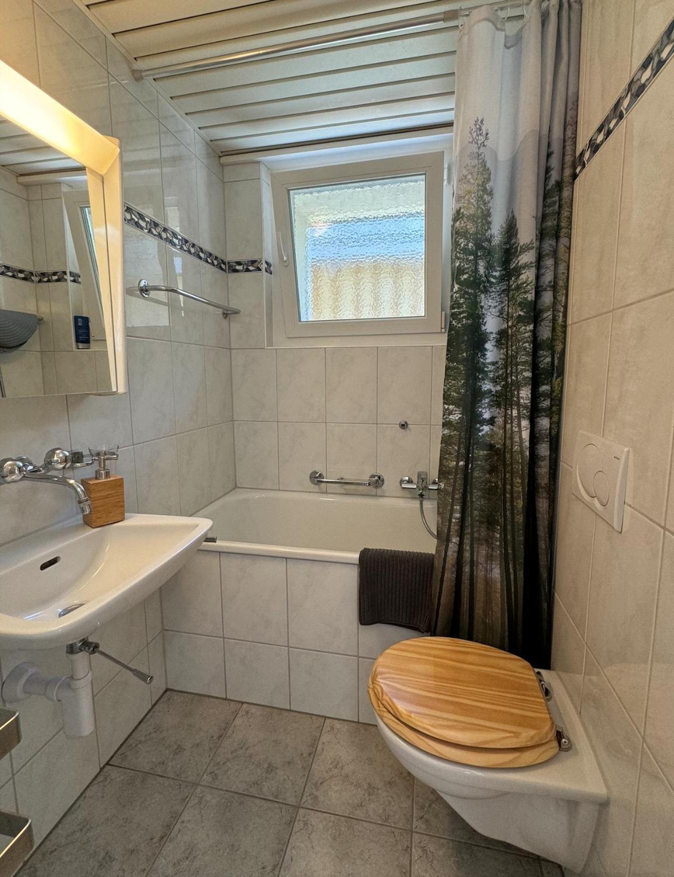 Alpine Haus Apartman Göschenen Kültér fotó